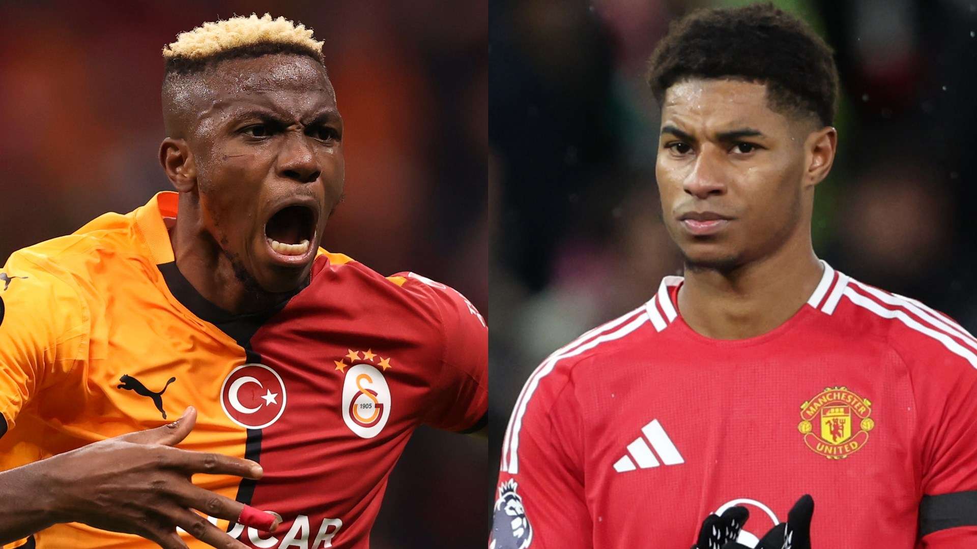 希望球队能 希望球队能