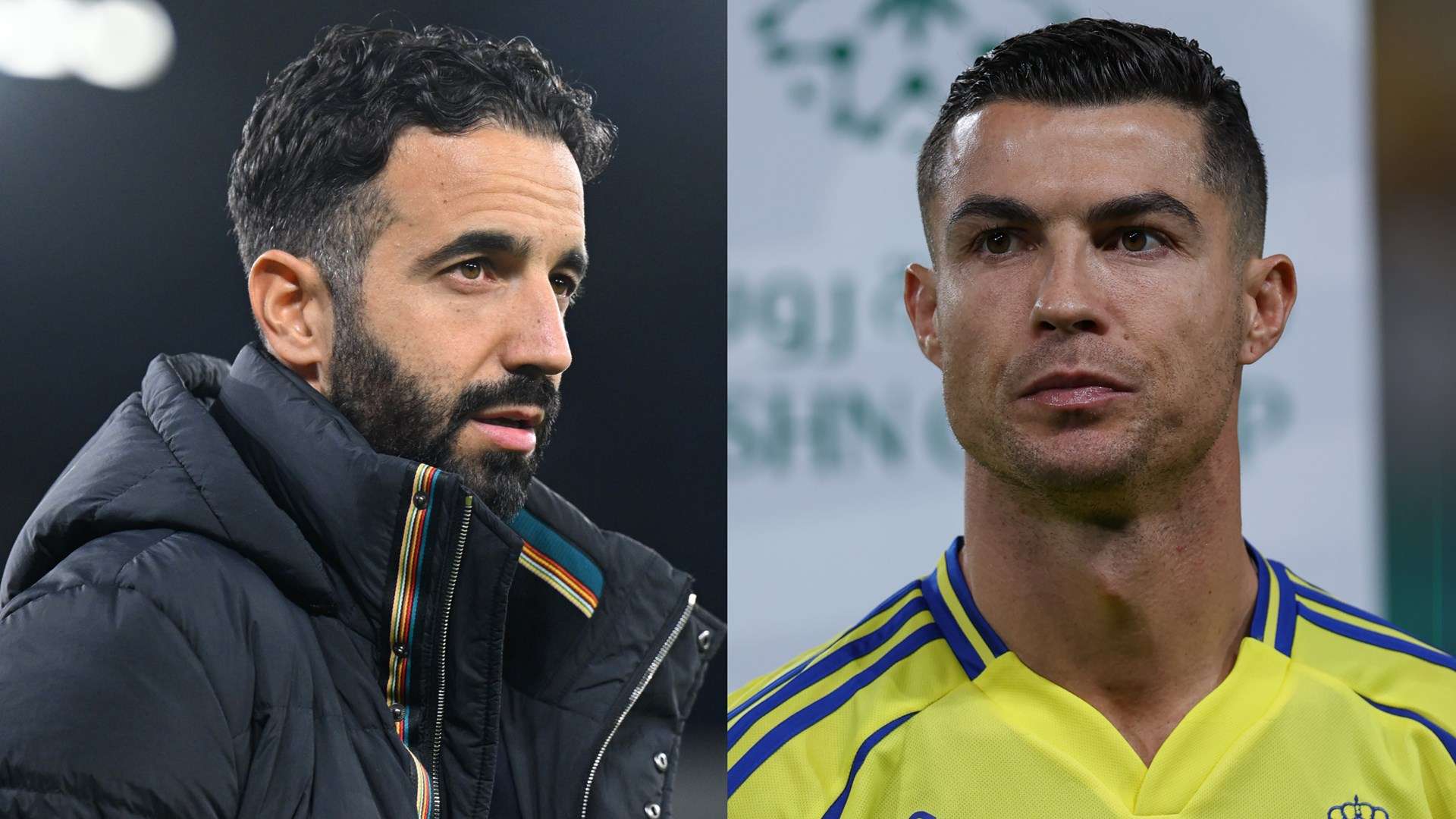 无论是自然 无论是自然